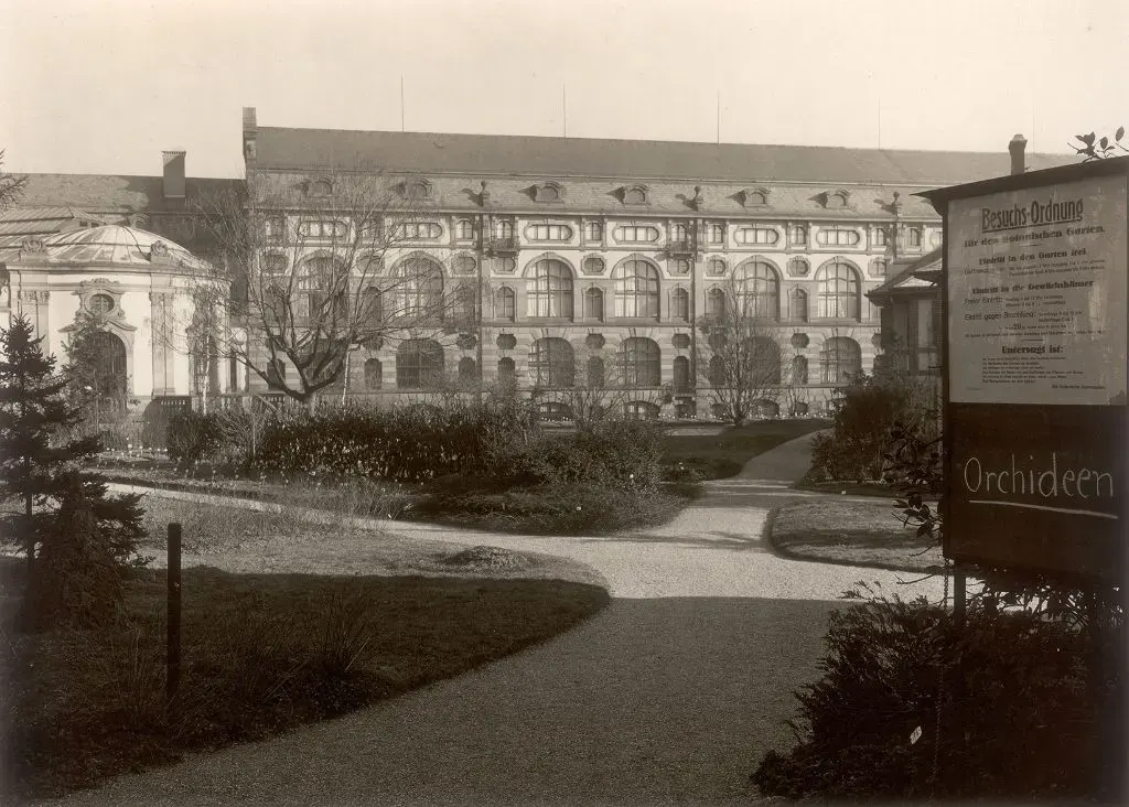 Die Alte Universitätsbibliothek im Jahr 1929 vom Botanischen Garten her gesehen